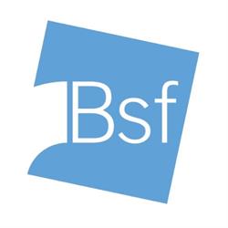 BSF srl