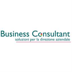 Business Consultant