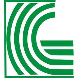 R.G. Centro Servizi di Grande Raffaella