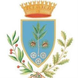 Comune Di Castagnito