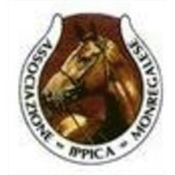 Associazione Ippica Monregalese