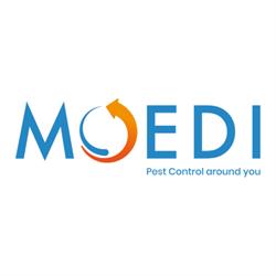 Moedi