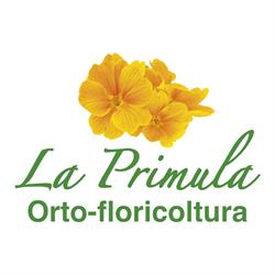 Azienda Agricola La Primula Di Prodani Michele Produzione Piante Da Orto-Fiore-Giardino