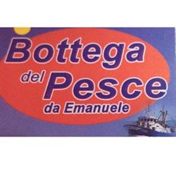 Bottega del pesce di Emanuele Gallina
