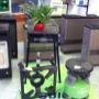 Gallery Cliente