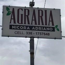 Nicora Adriano