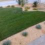 Progetto e Realizzazione giardino