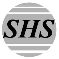 SECURITY HOME SERVICE srl