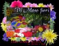 fiori freschi