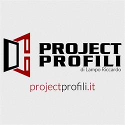 Project Profili Di Lampo Riccardo