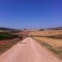 Cammino di santiago
