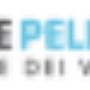 Viaggi e Pellegrinaggi