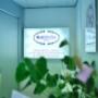 Bludental 1
