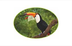 Il Cercatore Di Viaggi