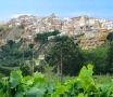 Calabria a Tavola Vendita on Line