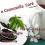 Thè e Camomilla Corè