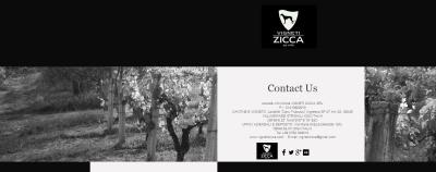 vigneti-zicca
