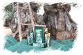 Olio extravergine d'oliva Tradizionale