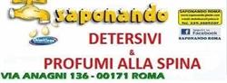 Saponando Detersivi Alla Spina