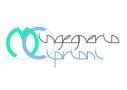 Studio Ingegneria Cipriani Ing. Massimo