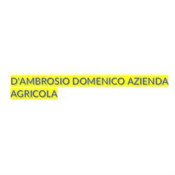 D'Ambrosio Domenico Azienda Agricola