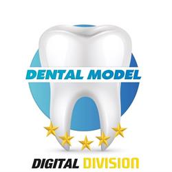 Dental Model Di Sirianni Evio E Manfroni Francesco E Aiello R.M. Sdf