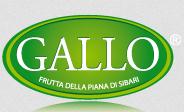 Ortofrutticola Gallo Di Gallo Natale P. & C. S.a.s. Lavorazione Commercio Ortofrutticoli