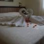 Camere Dotate di Ogni Confort