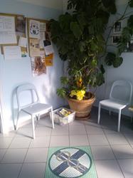 Studio Associato Ambulatorio Veterinario Il Ghirlandaio Dott.Ssa Sabr