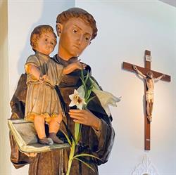 Parrocchia S. Antonio Di Padova