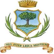 Comune Di Castagnole Piemonte