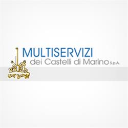 Multiservizi Dei Castelli Di Marino SPA