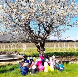 Scuola Materna 'padre Ribero' - Pratavecchia
