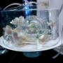 Alzata Torta - Tortiera - Fiori con Led - Palla Vetro Led