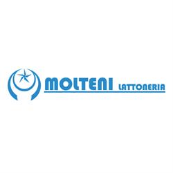 Molteni Lattoneria Di Molteni Giovanni SAS