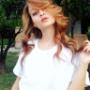 Gallery Professionale