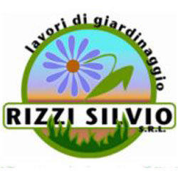 Rizzi Silvio
