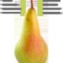 Fruit Modena Group   Pere
