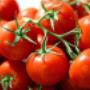 Fruit Modena Group   Pomodori