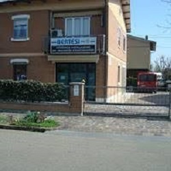 Bertesi Giuliano