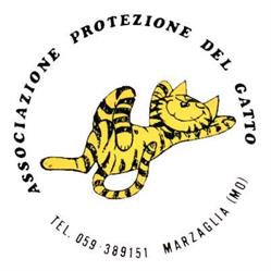 Rifugio Protezione Del Gatto