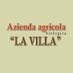 Azienda Agricola La Villa