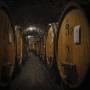 Cantina