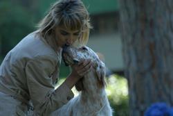 Pet Land SNC Di Monica Bottazzo & C. Toeletta Per Cani e Gatti