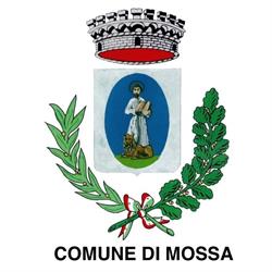 Comune Di Mossa Protezione Civile