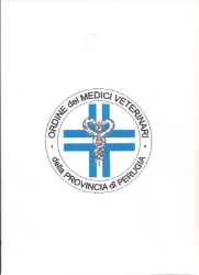 Bianchini Dott. Federica Ambulatorio Veterinario