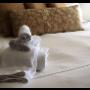 Bed & Breakfast Hotel Belvedere