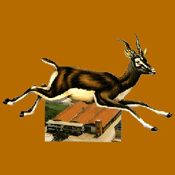 Nuova Antilope