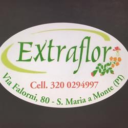 Extraflor Di Cantini Luciano & C. Snc
