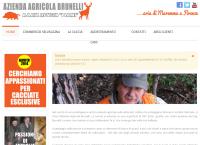 Sito di Azienda Agricola Brunelli Srl